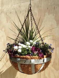Hanging Garden Basket